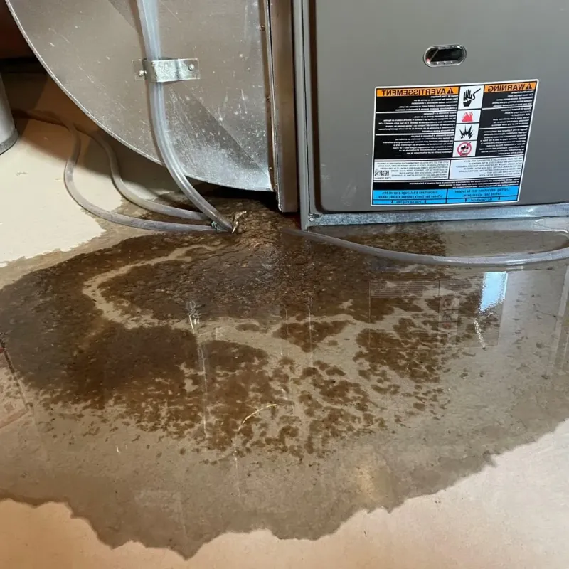 Pipe Burst and Leak Restoration in Spanish Lake, MO
